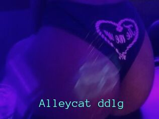 Alleycat_ddlg