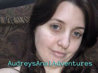 AudreysAnalAdventures