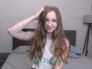 Amilycat