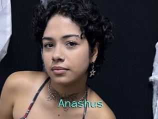 Anashus