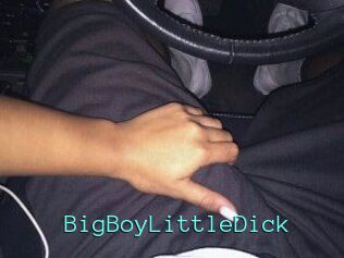 BigBoyLittleDick