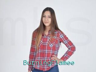 BurningFlamee