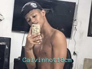 Calvinhot18cm