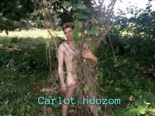 Carlot_hdozom