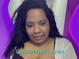 Cassandratropea