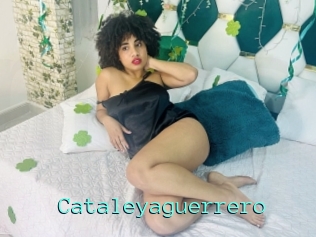 Cataleyaguerrero