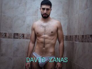 DAVID_ZANAS