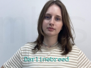 Darlinebreed