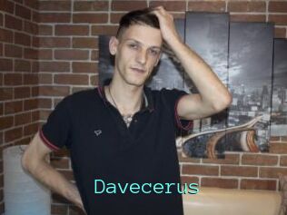 Davecerus