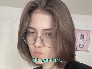 Dinamint