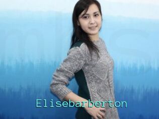 Elisebarberton