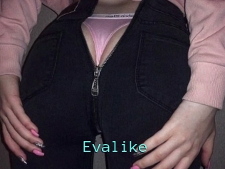 Evalike