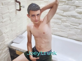 Joeytrunk