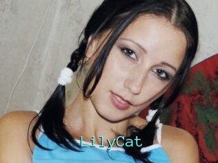 Lily_Cat_