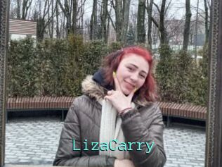 LizaCarry