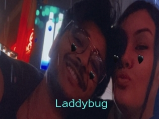 Laddybug