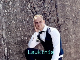 Laukinis