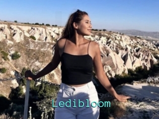 Ledibloom