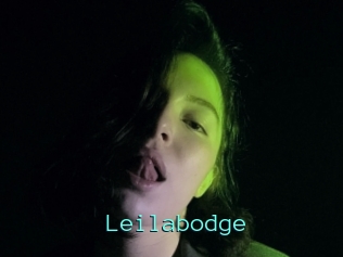 Leilabodge