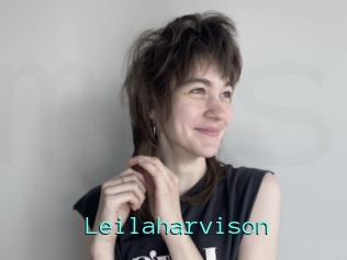 Leilaharvison