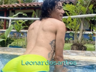 Leonardosantos