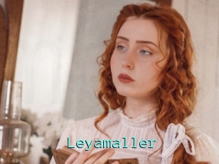 Leyamaller