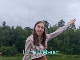 Linettebeer