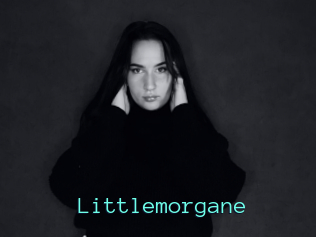 Littlemorgane