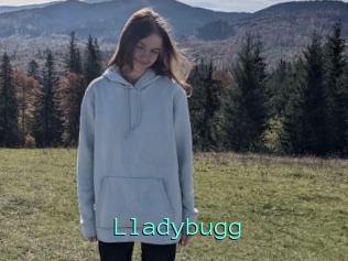 Lladybugg