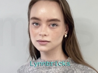 Lynnbricks