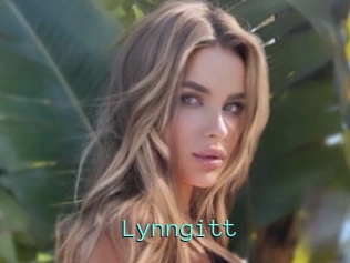 Lynngitt