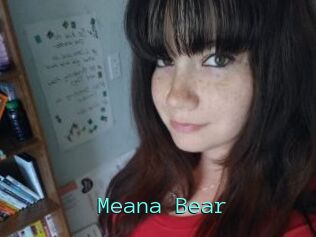 Meana_Bear