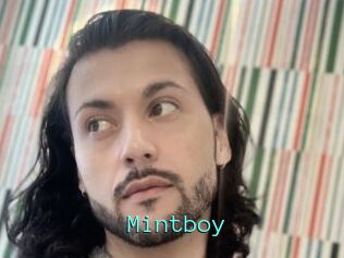 Mintboy