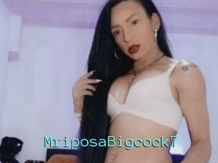 MriposaBigcock7