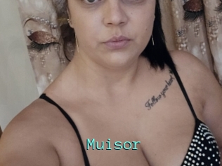 Muisor