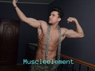 Muscleelement