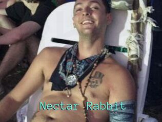 Nectar_Rabbit