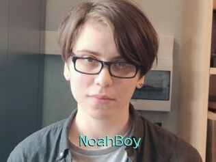 NoahBoy