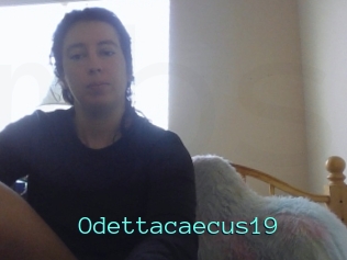 Odettacaecus19