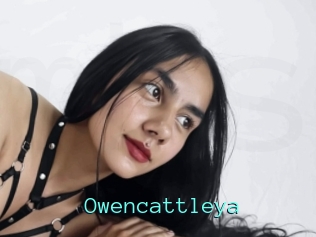 Owencattleya