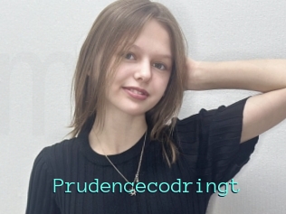 Prudencecodringt