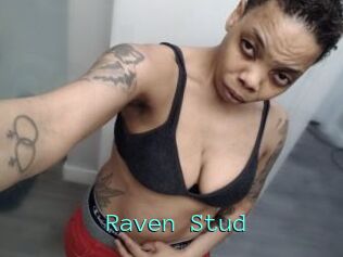 Raven_Stud