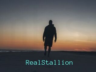 RealStallion