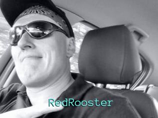 RedRooster