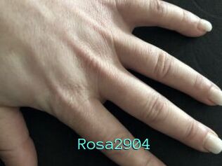 Rosa2904