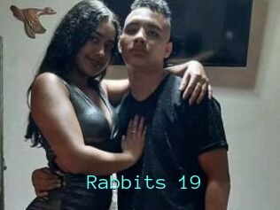 Rabbits_19