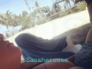 Sassharosse