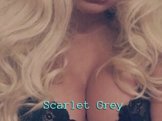 Scarlet_Grey