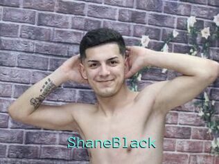 ShaneBlack