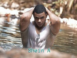 Shein_A